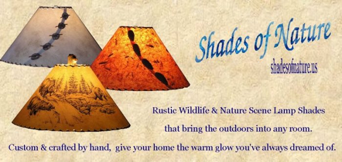 Pair of Lampshades For Sale at 1stDibs Pair of Lampshades For Sale at 1stDibs